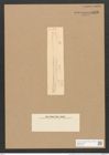 Nitzschia weissflogii Grun. (de-Toni-Nr.: Genus 47, Species 2061) Zeichnungen Sammlung Grunow Nr. 4072 (NHMW-BOT-W0371912)